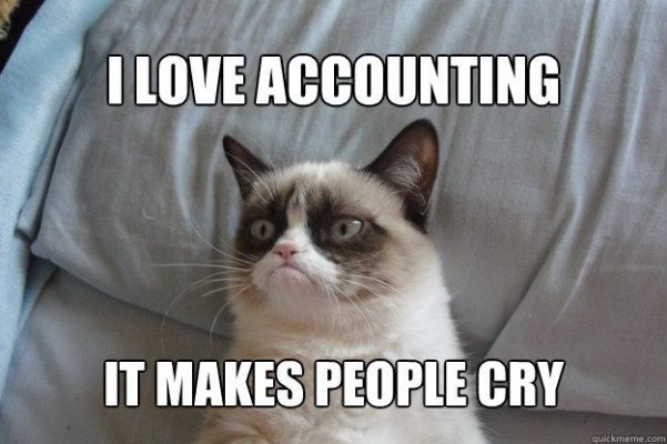 grumpy-cat-love-accounting-makes-people-cry